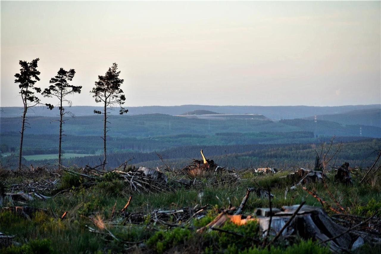 Lierneux "Petite Perle En Haute Ardenne" Avec Vue Sur La Vallee, Cabine Infra-Rouge Et Bain Balneo מראה חיצוני תמונה